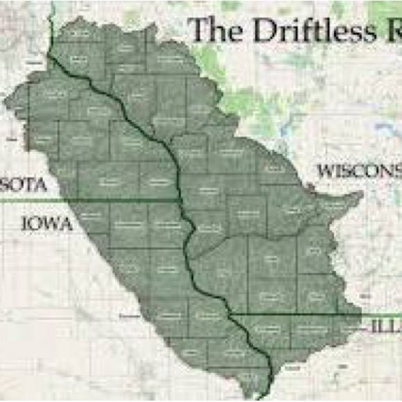 Meet your Posher, Lynn - Picture 4 of 5